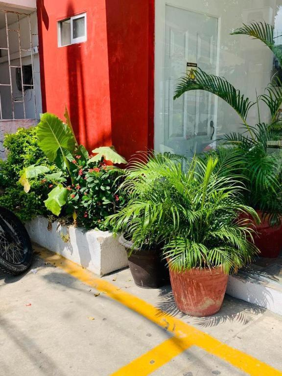 Hotel Bellamar Cartagena Exteriér fotografie